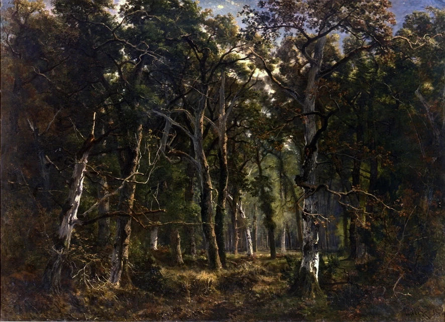 Bosco di Fontainebleau - Palazzo delle Belle Arti, Roma